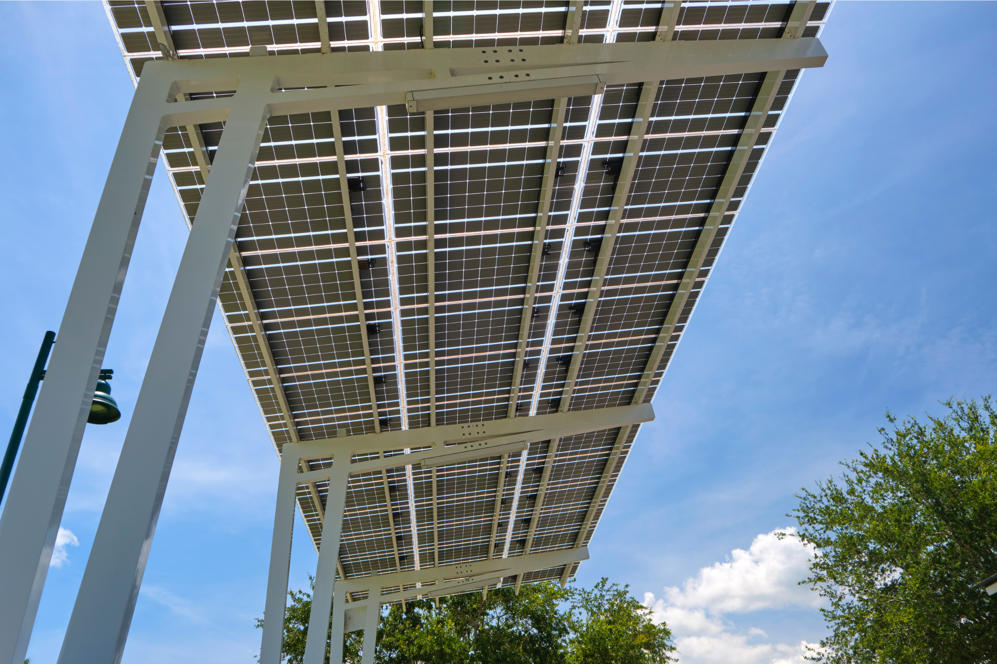 solar canopy rendering from below