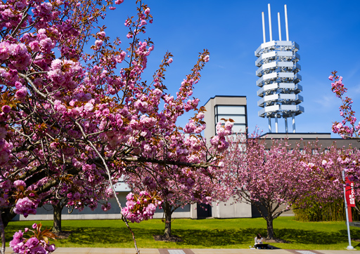 Student walking from behind