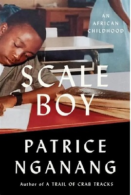 Cover of Dr. Patrice Nganang's book