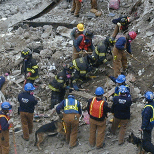 First responders, including firefighters and police officers, conduct rescue operations amidst debris at a disaster site.