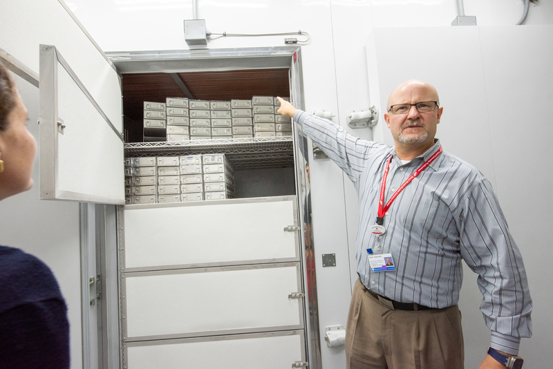 University staff member showing a facility to a colleague