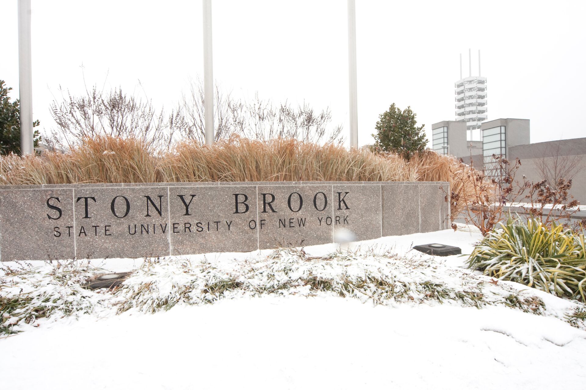 Stony Brook sign in the snow