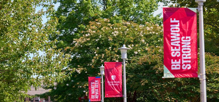 Stony Brook marquees