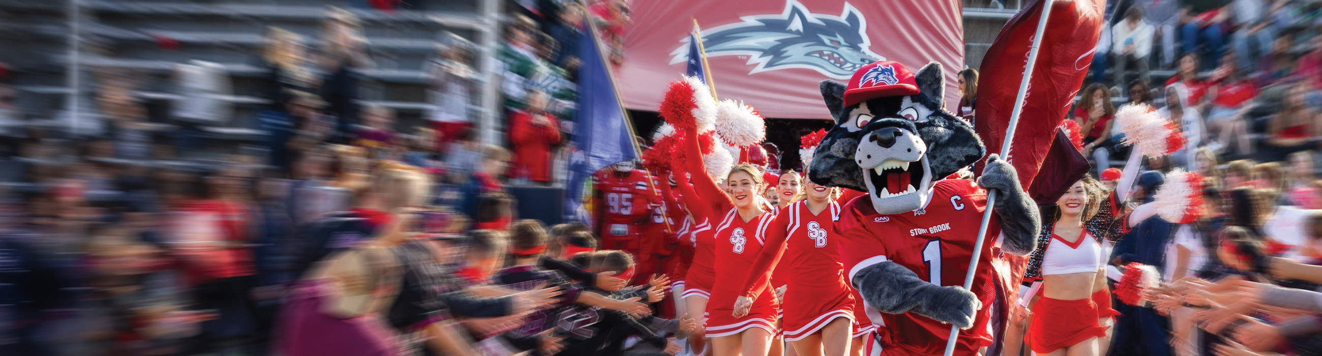 Group of Stony Brook Alumni