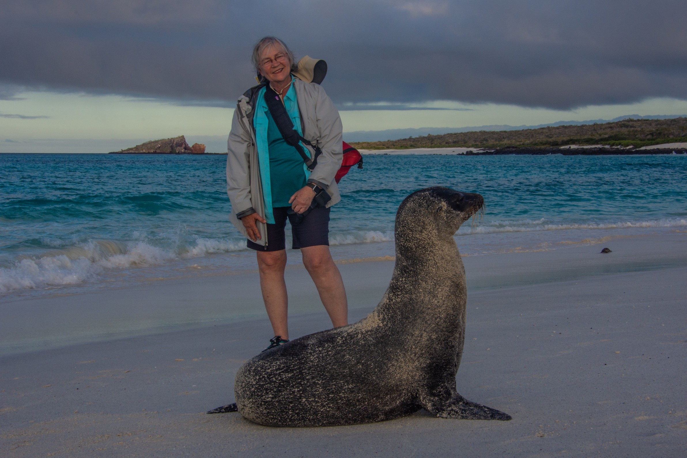 Picture of traveler on beach with seal