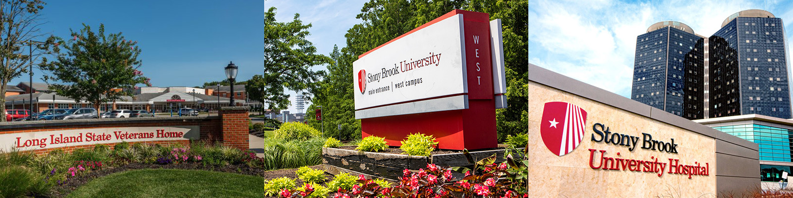 Fall at Stony Brook University