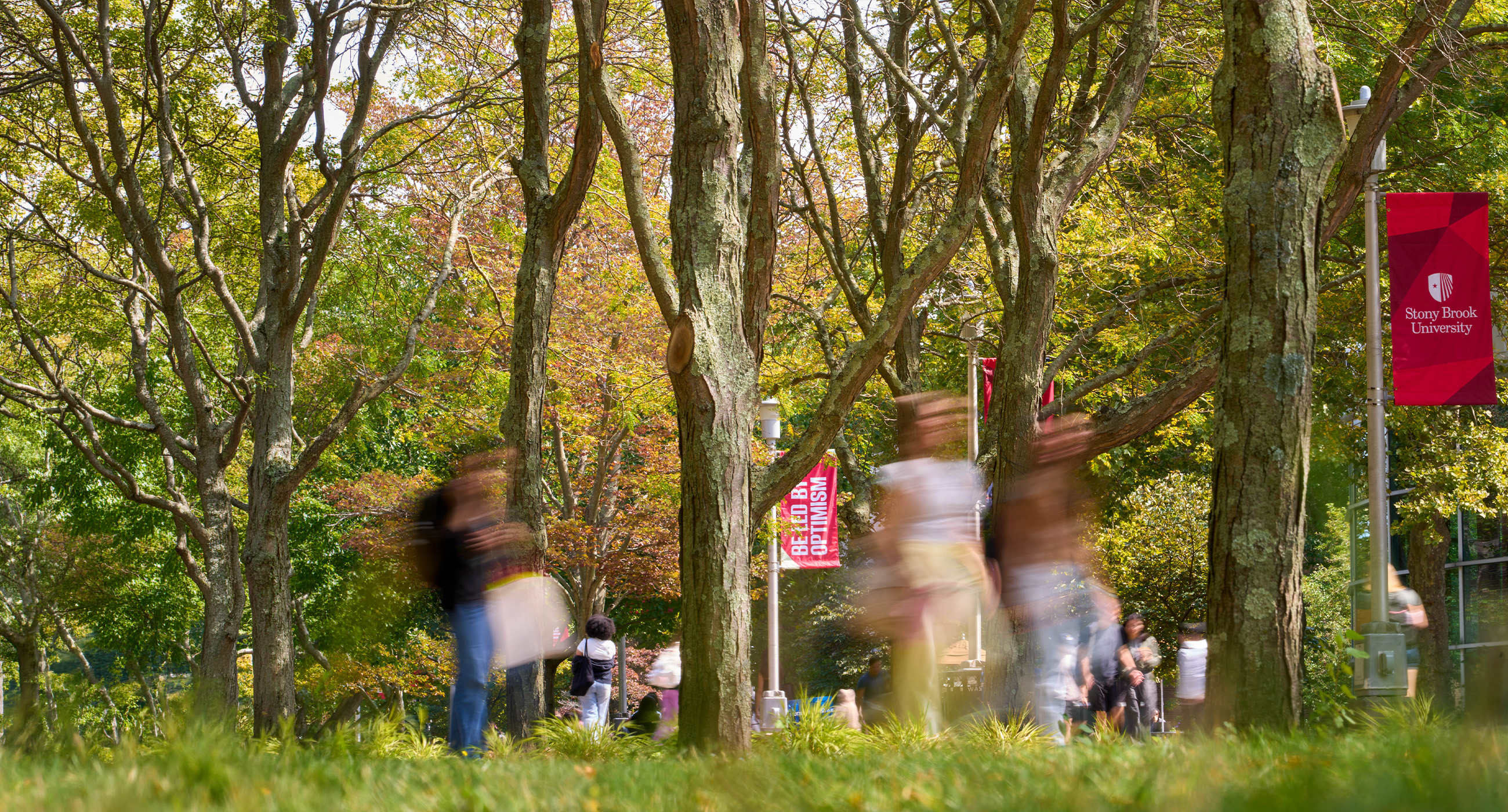 Stony Brook Campus
