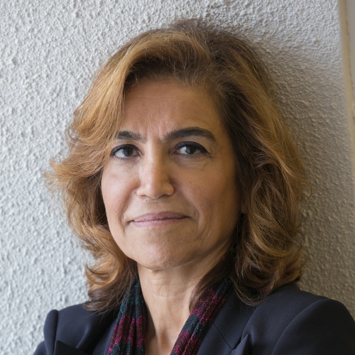 image of Anissa Abi-Dargham, MD