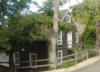 stony brook