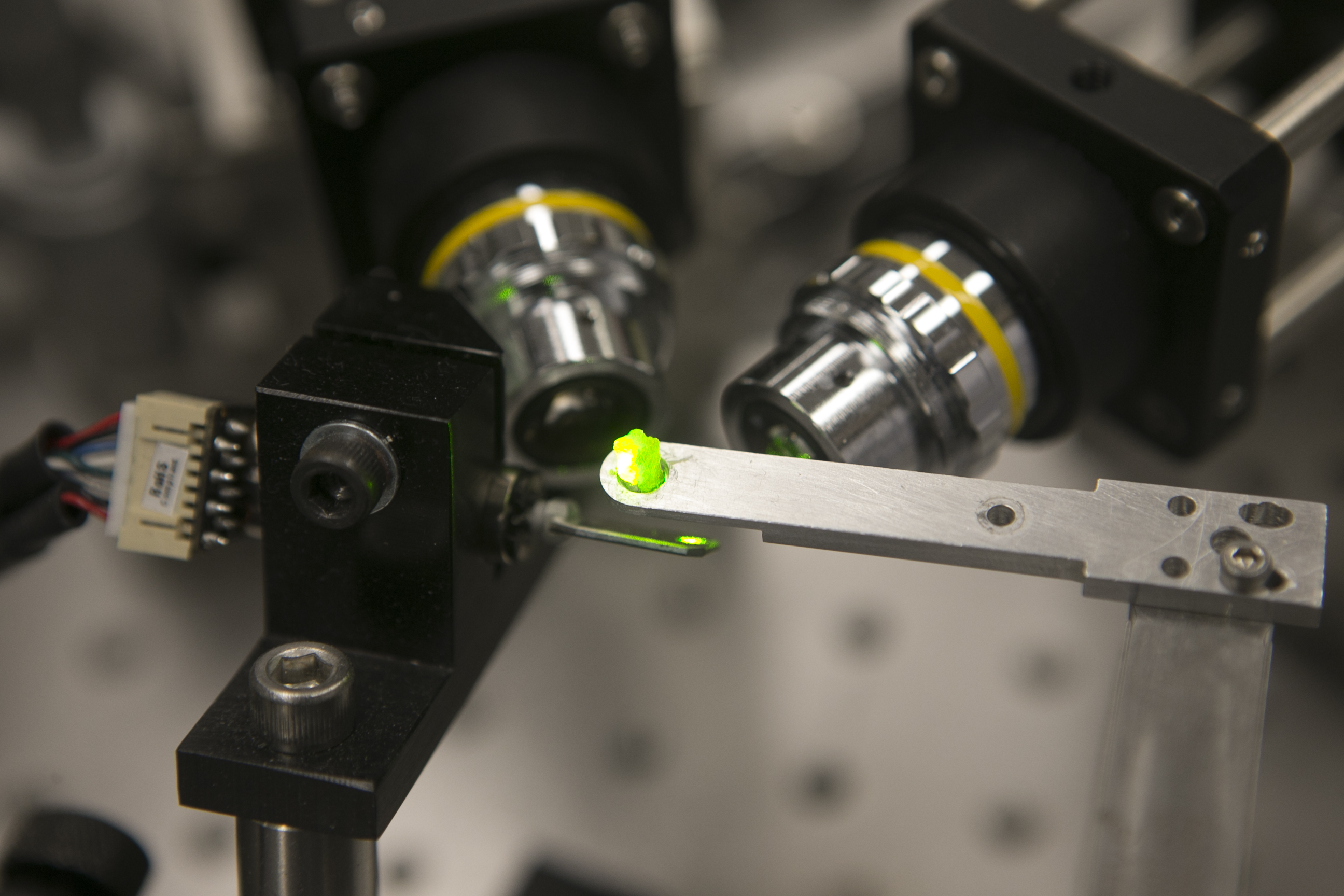 fluo_sample fluorescent sample oberserved with two microscope obejctives