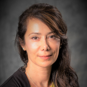 Soraya Zabihi Soraya Zabihi, assistant dean for research at Stony Brook University