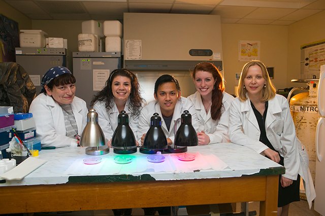 Materials Science Chemical Engineering Faculty Professor Miriam Rafailovich and four students in white lab coats in front of a lab table with petri dishes