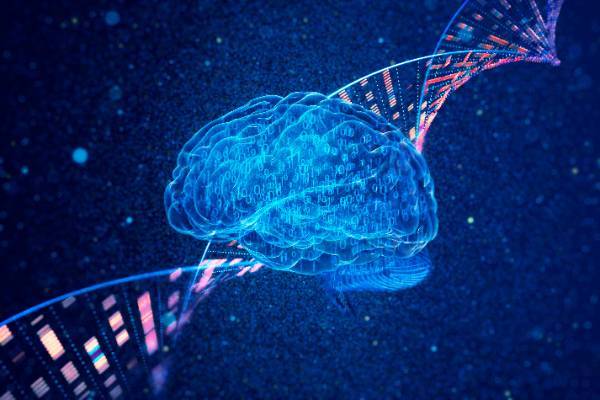 Department of Biomedical Engineering a bright blue illuminated brain in front of a darker blue backdrop with strips of horizontal squares in pink and blue to symbolize medical imaging