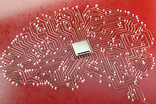 Department of Computer Science a computer network shaped in the image of a brain on a reddish-orange backdrop