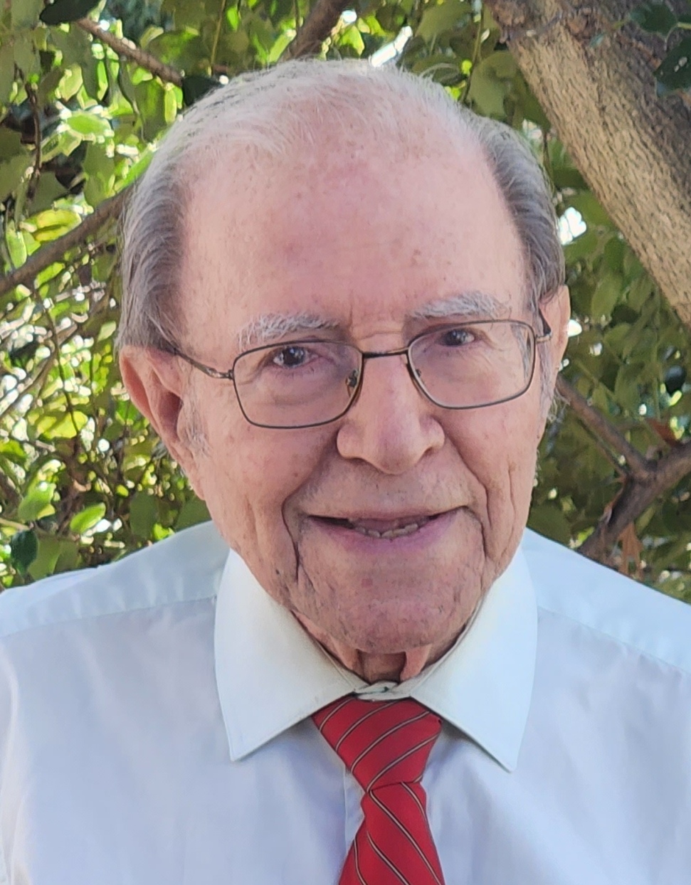 albert haim