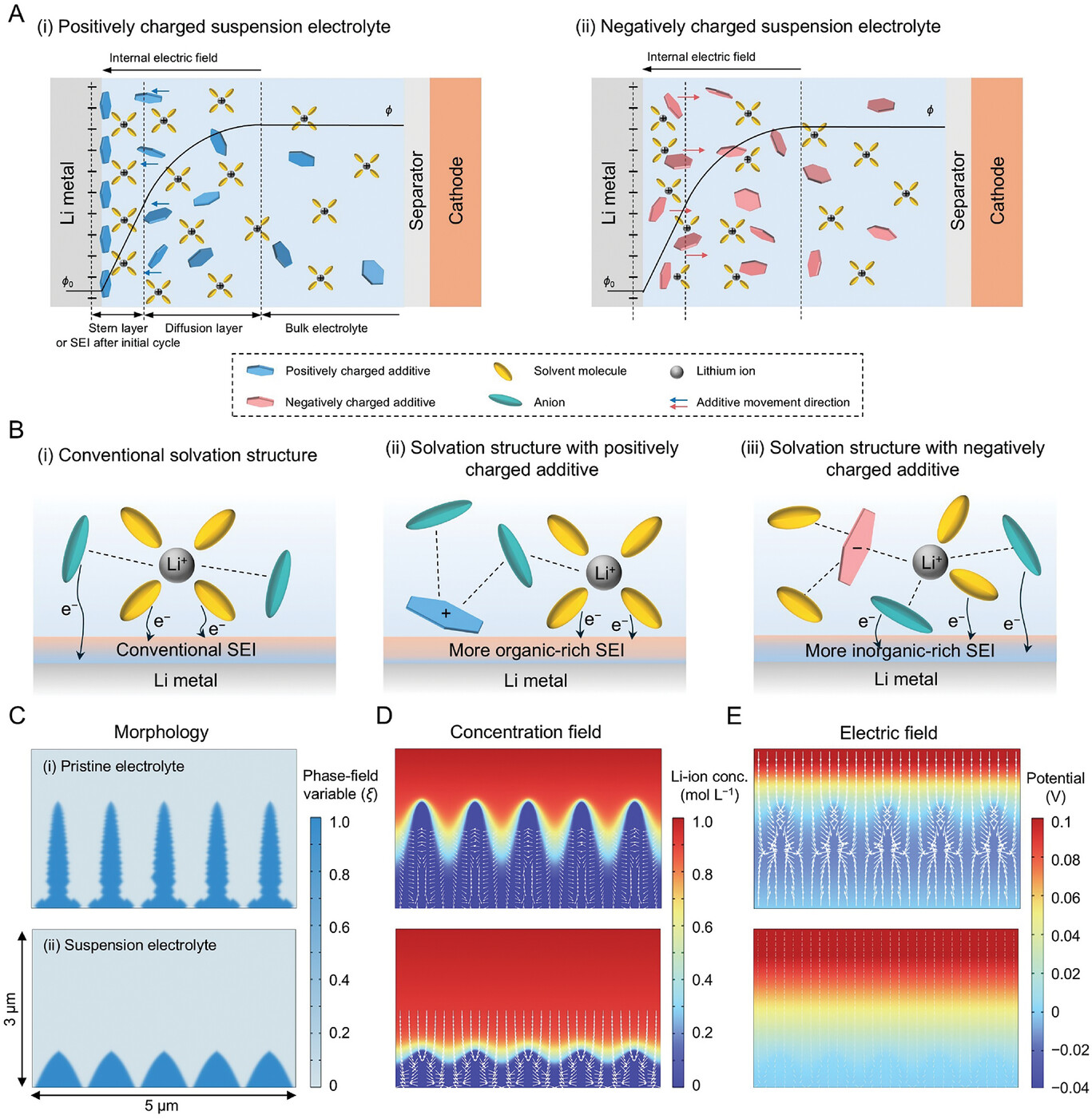 schematic of the solvation structure