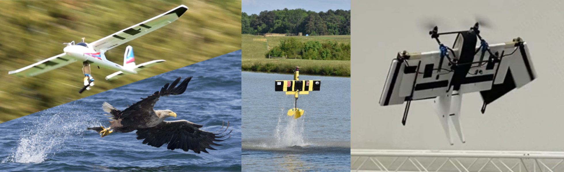 images from research publications