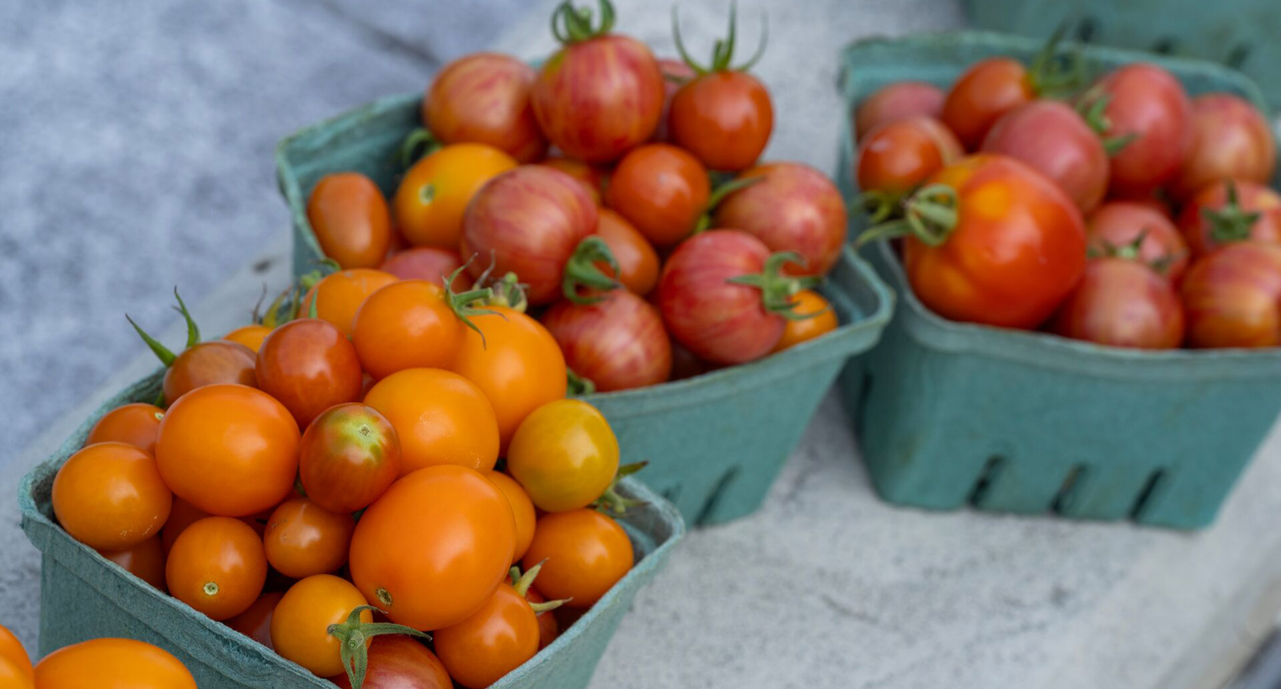 Tomatoes stacked in green containers.