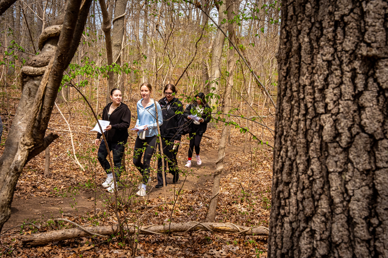students walking in the woods