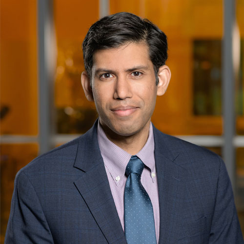 Headshot for Professor Lav Varshney.