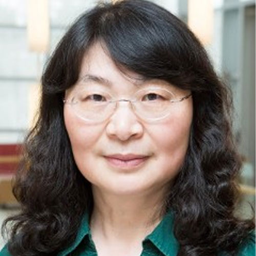 Headshot of Professor Yuanyuan Yang.