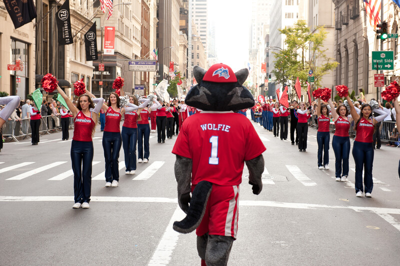 wolfie walking