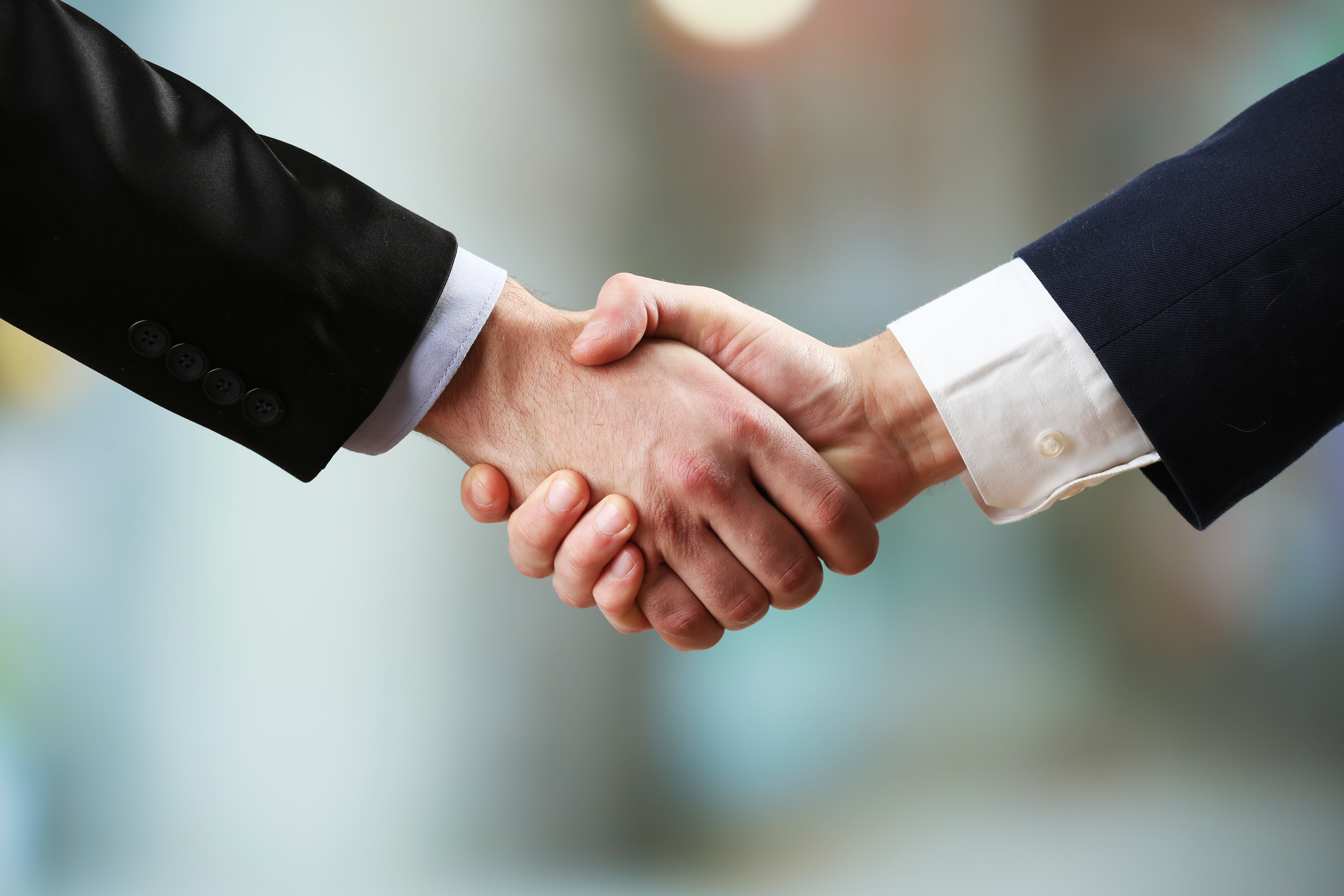 Two people shaking hands