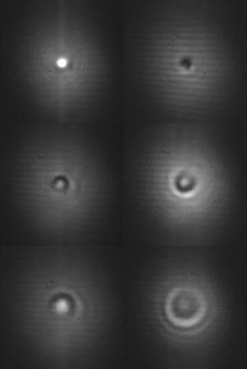 Second 
viewing of the Gouy phase with my interferometer