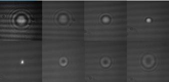 Compliation 
of 2 lens Gouy Pictures