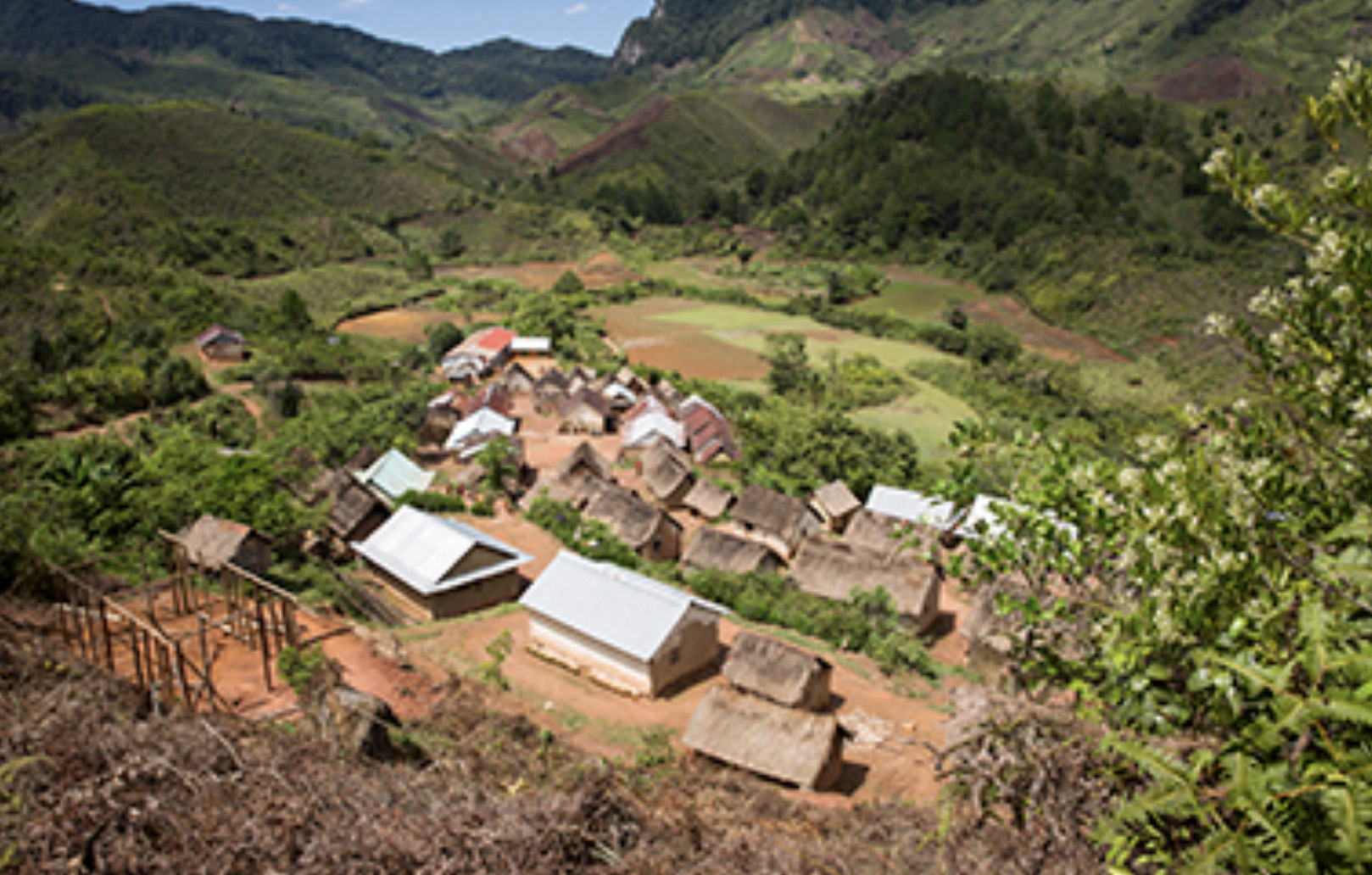 african landscape
