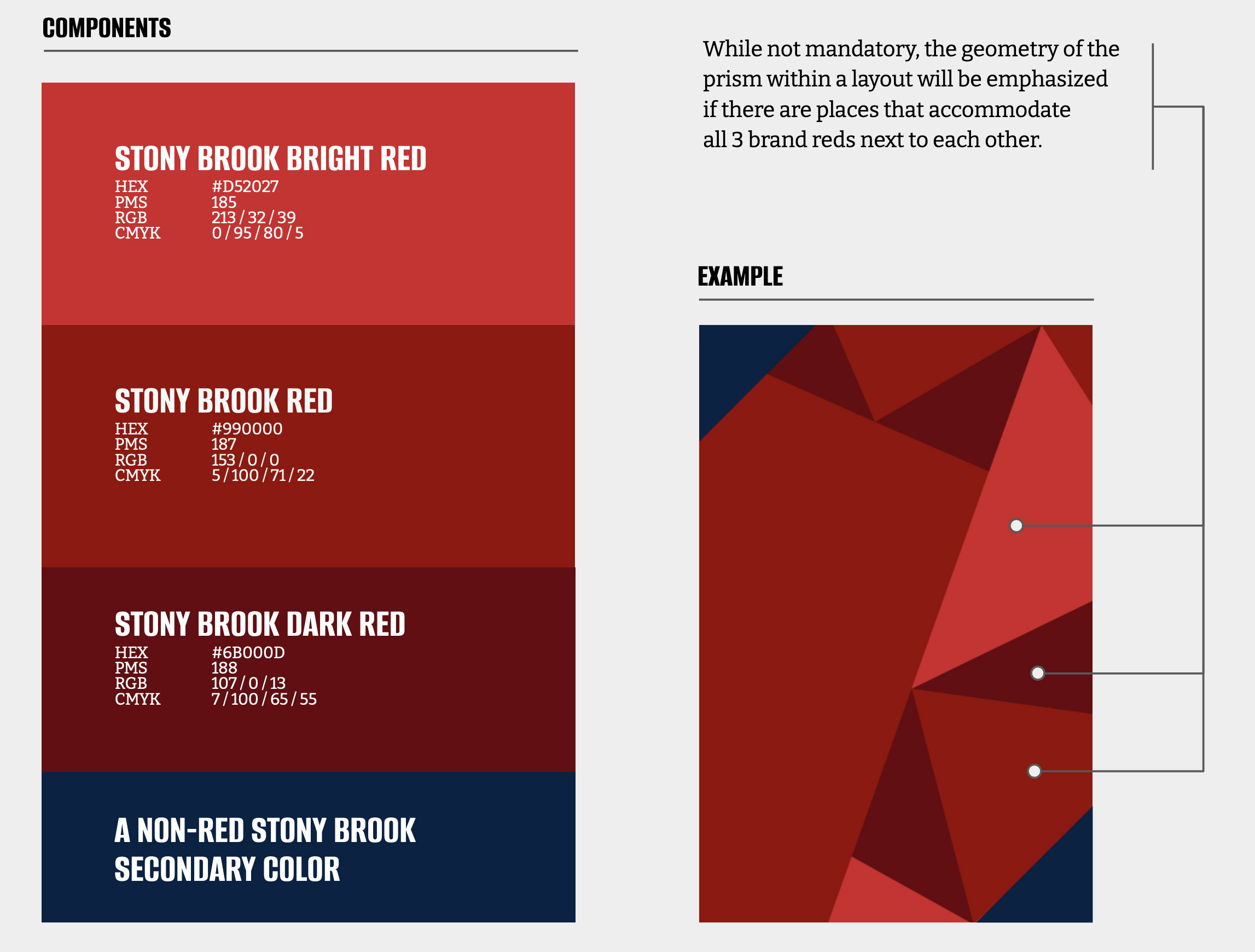 prism anatomy