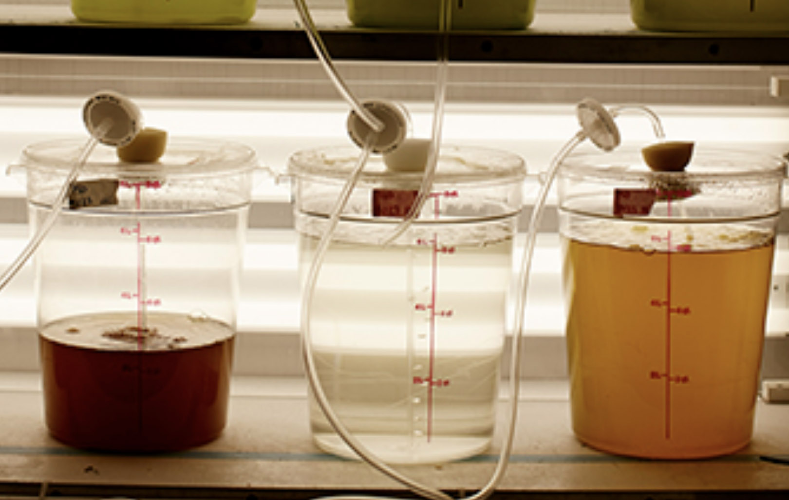 lab setup