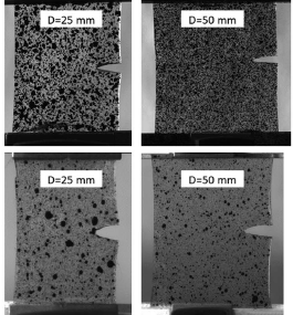 PDMS fracture images