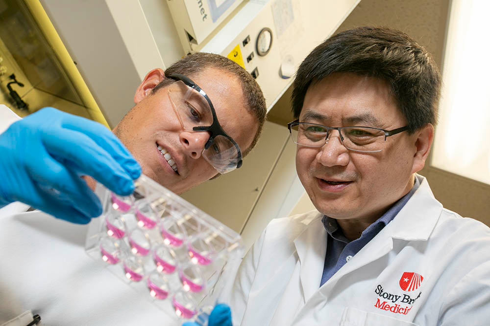 ju Jingfang Ju and Andrew Fisher