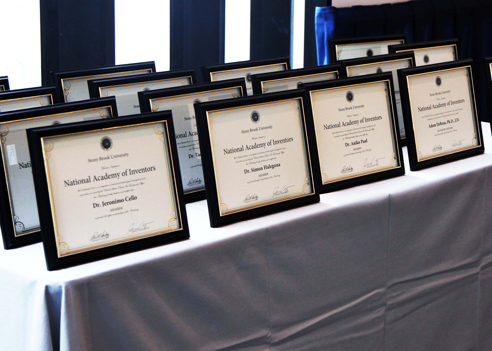 YAI plaques