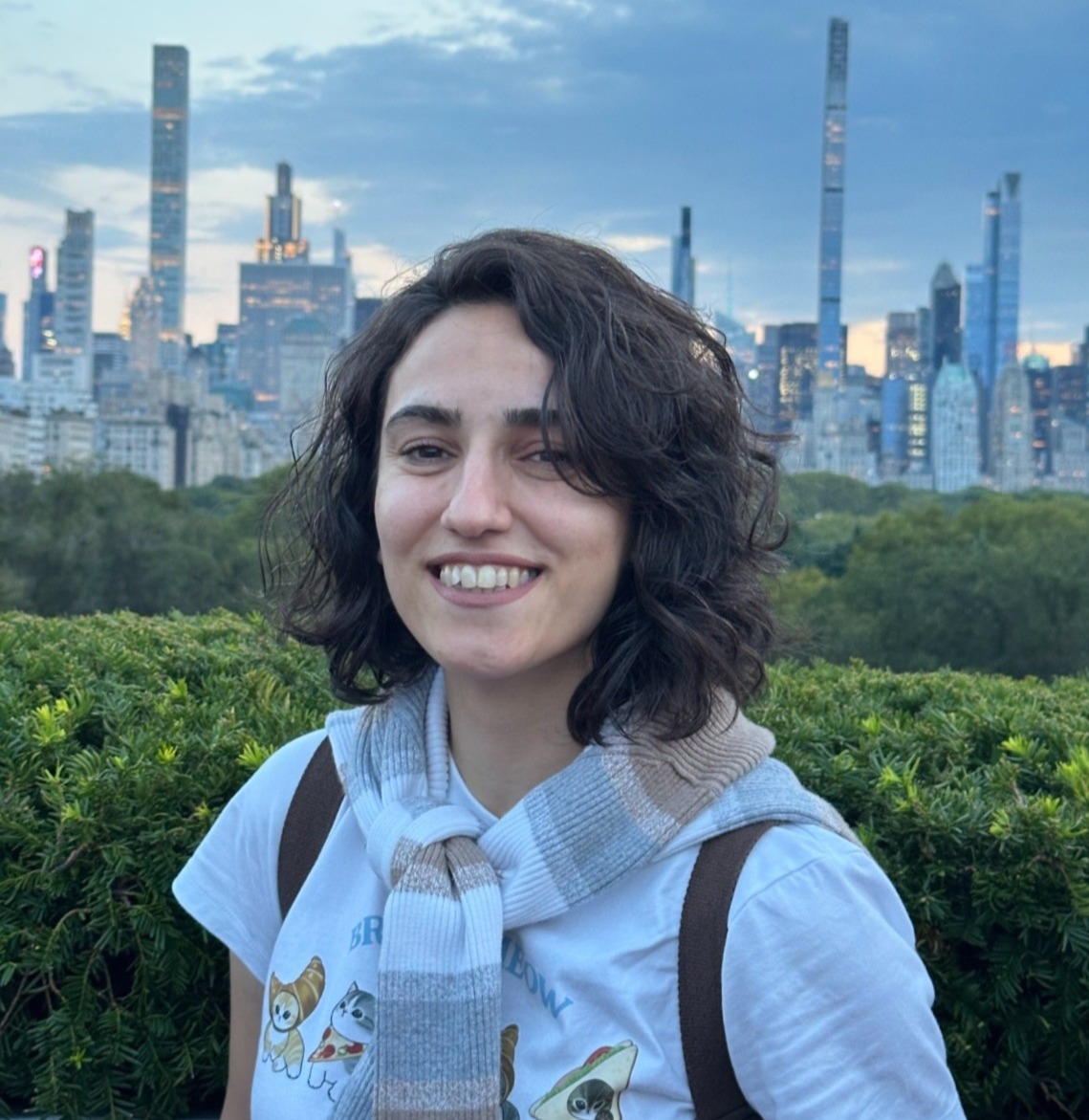Elnaz Azimi