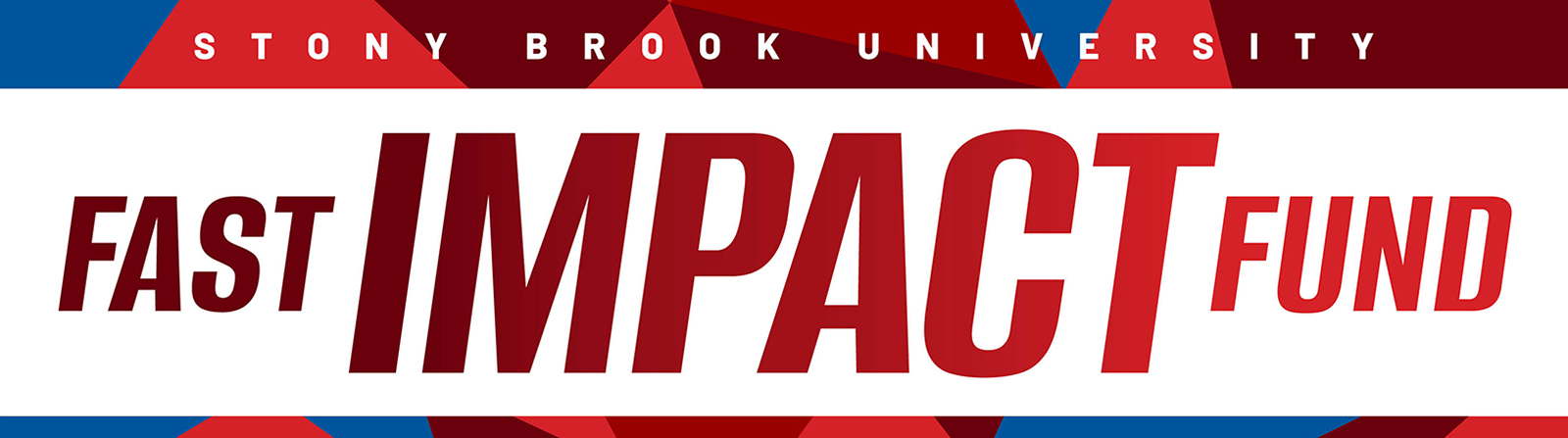 Fast Impact Fund graphic treatment