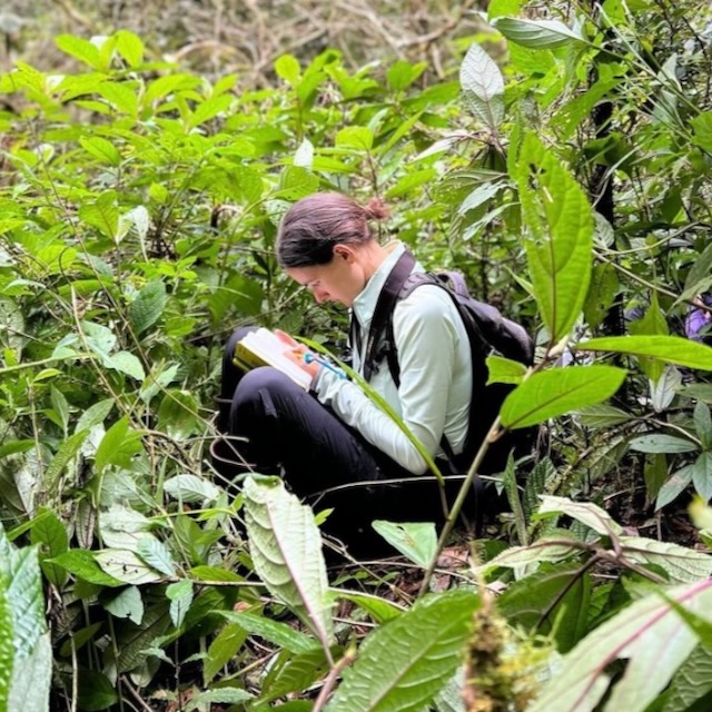 a researcher crouches in the forests of Madagascar
