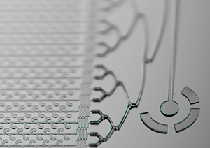 science image about inequities showing connections