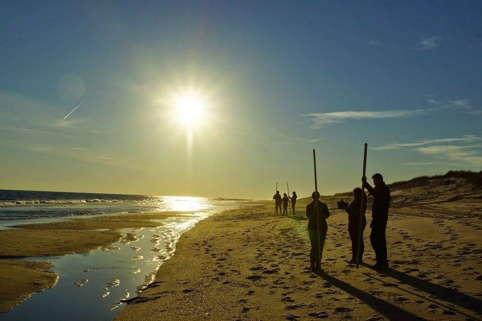 Students conduct a beach profile as the sun sets