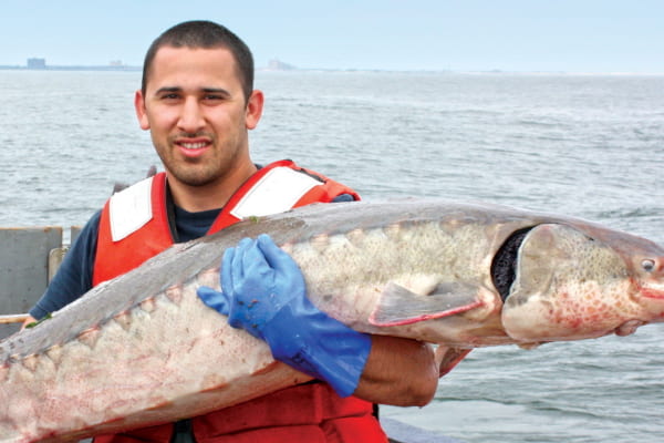 Christopher Martinez holds a sturgeon Christopher Martinez holds a sturgeon