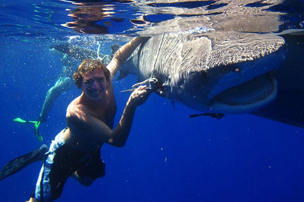 Jake LaBelle swims with a shark next to a boat Jake LaBelle swims with a shark next to a boat