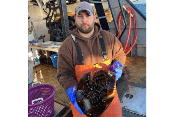 Michael Bowen holds a horseshoe crab Michael Bowen holds a horseshoe crab