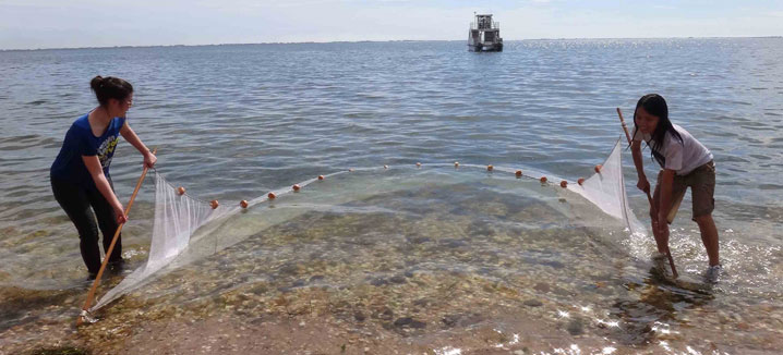 Students collecting samples for Semester by the Sea courses
