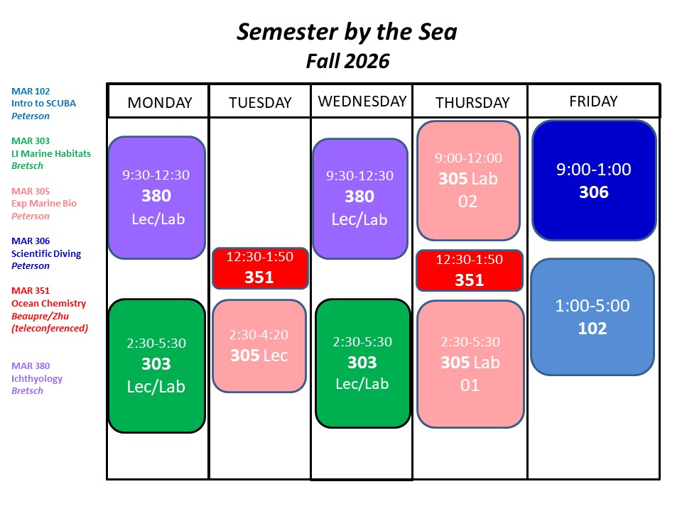 Fall 2026 Semester by the Sea course schedule overview