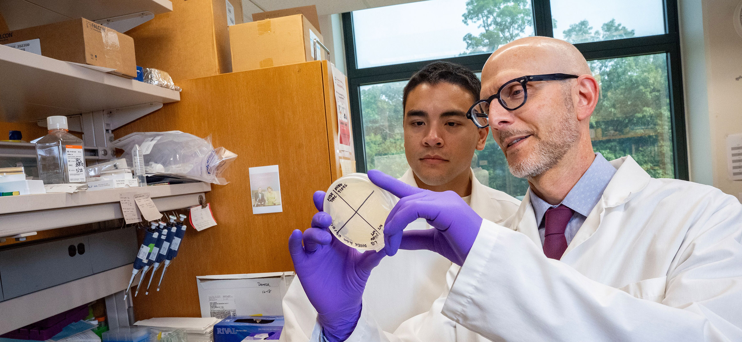 Scientists looking at a lab book