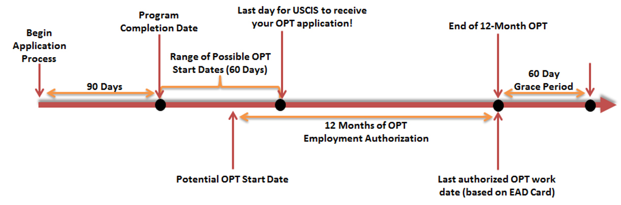 OPT Timeline OPT Timeline Explanation