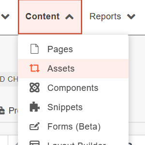 Content > Assets menu in Modern Campus CMS
